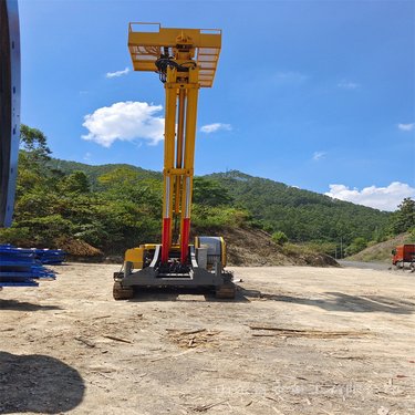 供抗浮锚索钻机 液压动力头打孔机 18米孔长螺旋打桩机